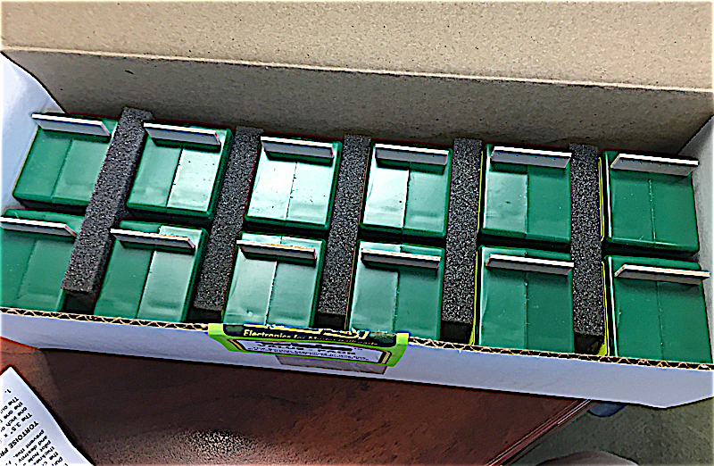 box of Tortoises